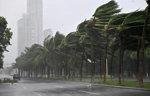 Hainan Island Struggles Under Heavy Rainfall from Super Typhoon Yagi - image 5