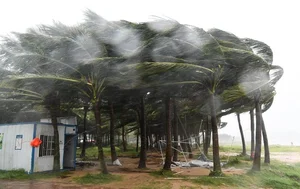 Hainan Island Struggles Under Heavy Rainfall from Super Typhoon Yagi - image 9