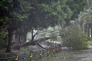 Hainan Island Struggles Under Heavy Rainfall from Super Typhoon Yagi - image 11
