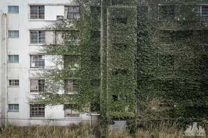 Exploring Japan's Eerie Abandoned Island: A Ghostly Beauty - image 2