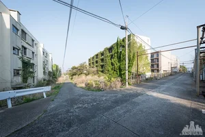 Exploring Japan's Eerie Abandoned Island: A Ghostly Beauty - image 7