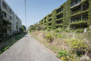 Exploring Japan's Eerie Abandoned Island: A Ghostly Beauty - image 10