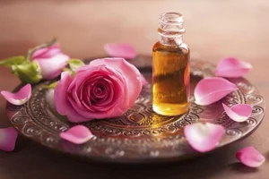 15 Surprising and Fascinating Facts About the World’s Most Beloved Flowers - image 10