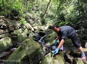 Tracing the Footsteps of the World's Most Elusive and Mysterious Wildlife - image 2