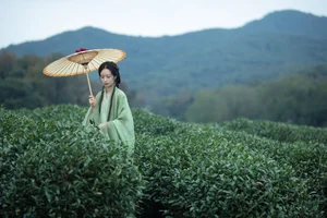 Art Language Vol.6256 Nai Xiong Da Wan Zi Professional Showcase - image 14