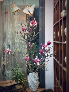 Affordable Imported Flowers Trend for Lunar New Year 2025 - image 6