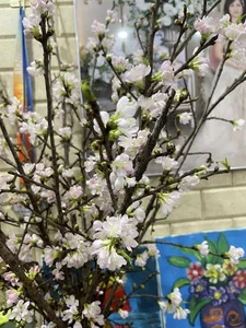 Affordable Imported Flowers Trend for Lunar New Year 2025 - image 2