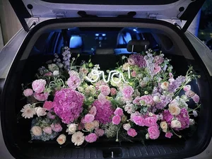 Ex-Wife of Actor Viet Anh Shares New Romance and Happiness - image 0