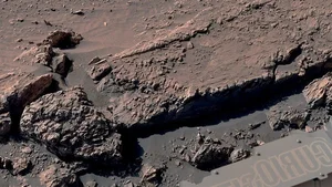 Unexplained Martian Anomalies: The Mystery of the Coral-Shaped Structures on the Red Planet - image 2
