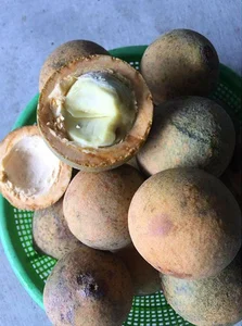Discover the Rare Mekong Delta Fruit That Looks Like Pomelo - image 0