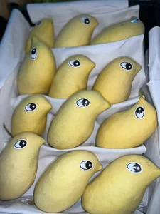 The Origin of the Fragrant Yellow Mango Trending in Vietnam - image 2