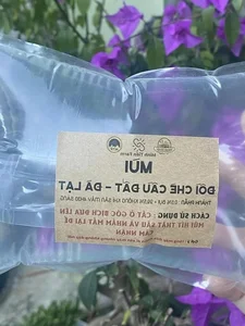 Quirky Da Lat: The Viral Trend of Selling Fresh Air Bags - image 2