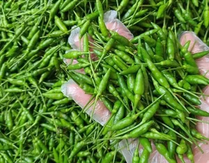 The 1 Million VND Hedge Fruit Trend Explained - image 1