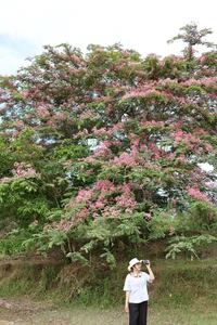 Escape the Heat: A Summer Journey into the Green Heart of Nam Cat Tien - image 7