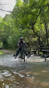 Escape the Heat: A Summer Journey into the Green Heart of Nam Cat Tien - image 1