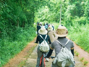 Escape the Heat: A Summer Journey into the Green Heart of Nam Cat Tien - image 8