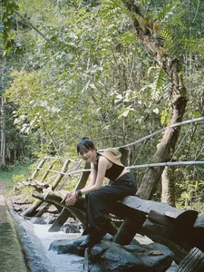 Escape the Heat: A Summer Journey into the Green Heart of Nam Cat Tien - image 2