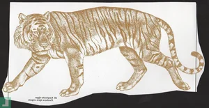 Has the Extinct Caspian Tiger Reappeared? Inside the Shocking Discovery - image 3