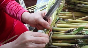 Uncovering Northwest Vietnam's Unique Culinary Delicacies: Surprising Yet Highly Nutritious Foods - image 1