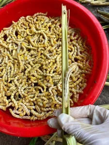 Uncovering Northwest Vietnam's Unique Culinary Delicacies: Surprising Yet Highly Nutritious Foods - image 9
