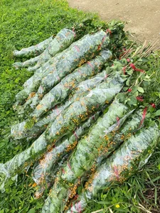 Countryside Wild Plant Becomes Trendy Home Decor Sensation for Women - image 5