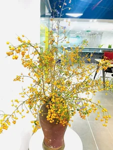 Countryside Wild Plant Becomes Trendy Home Decor Sensation for Women - image 4