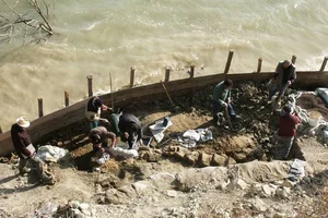 Prehistoric Giants: Giant Blue Whale Fossil Discovery Rewrites Marine Evolutionary History - image 5