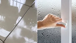 Combatting Humidity: Essential Design Tips for a Dry and Healthy Home - image 4
