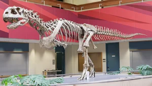 100-Million-Year-Old 'Sea Monster' Fossil Unearthed in France - image 7