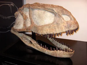 100-Million-Year-Old 'Sea Monster' Fossil Unearthed in France - image 0