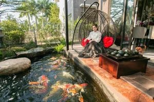 Exploring Nhat Kim Anh Luxury 220m2 Eco Friendly Villa - image 4