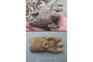 Lost Cities: Mysterious Ancient Maya Structures Discovered in Mexico - image 3