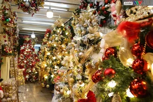 Hanoi’s Hang Ma Street Transforms into a Magical Christmas Wonderland - image 5