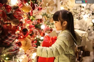 Hanoi’s Hang Ma Street Transforms into a Magical Christmas Wonderland - image 7