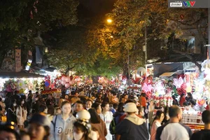 Hanoi’s Hang Ma Street Transforms into a Magical Christmas Wonderland - image 3