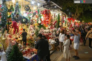 Hanoi’s Hang Ma Street Transforms into a Magical Christmas Wonderland - image 10