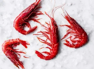 Red Devil Carabinero Prawns Spark Luxury Food Craze for Lunar New Year - image 7