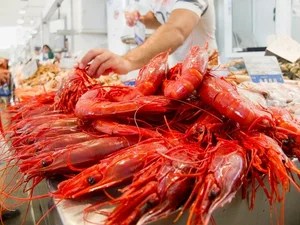 Red Devil Carabinero Prawns Spark Luxury Food Craze for Lunar New Year - image 9