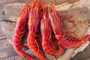 Red Devil Carabinero Prawns Spark Luxury Food Craze for Lunar New Year - image 3