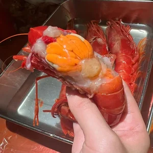 Red Devil Carabinero Prawns Spark Luxury Food Craze for Lunar New Year - image 6