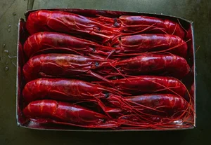 Red Devil Carabinero Prawns Spark Luxury Food Craze for Lunar New Year - image 5