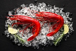 Red Devil Carabinero Prawns Spark Luxury Food Craze for Lunar New Year - image 2