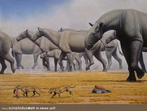 Meet the Largest Rhino to Ever Exist: Paraceratherium, the Giant Beast - image 5