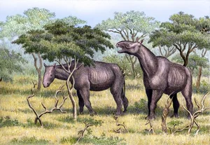 Meet the Largest Rhino to Ever Exist: Paraceratherium, the Giant Beast - image 3