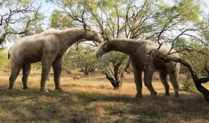 Meet the Largest Rhino to Ever Exist: Paraceratherium, the Giant Beast - image 4