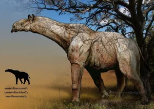 Meet the Largest Rhino to Ever Exist: Paraceratherium, the Giant Beast - image 6