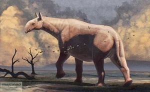 Meet the Largest Rhino to Ever Exist: Paraceratherium, the Giant Beast - image 2