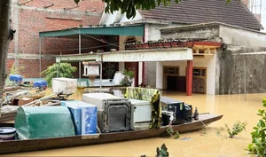 Severe Flooding Impacts Mountainous Regions of Nghe An Province - image 7