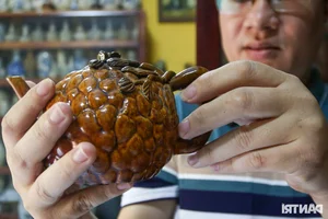 A Lifetime of Tea Culture: The Incredible 1,000-Piece Antique Teapot Collection in Binh Duong - image 1