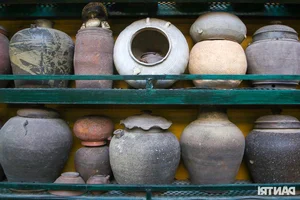 A Lifetime of Tea Culture: The Incredible 1,000-Piece Antique Teapot Collection in Binh Duong - image 3